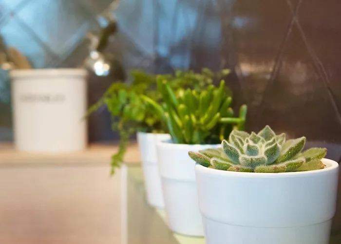 Les Tranquilles D'oleron 3*